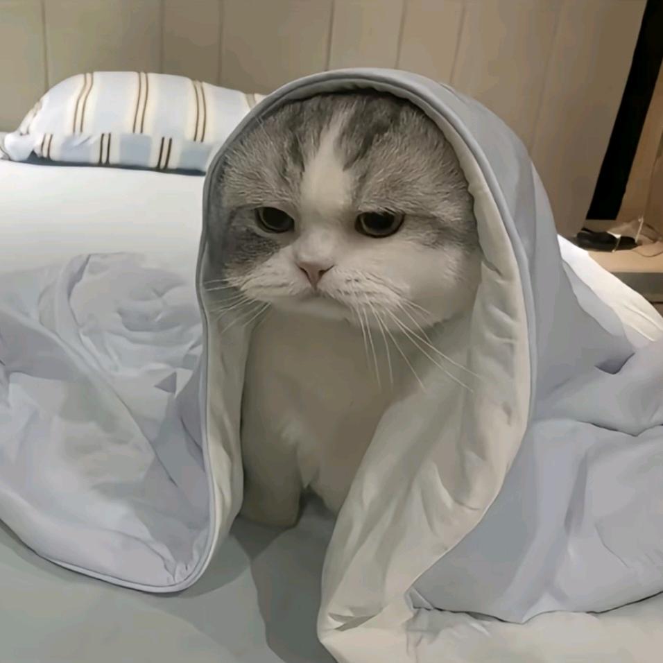 东木咚
