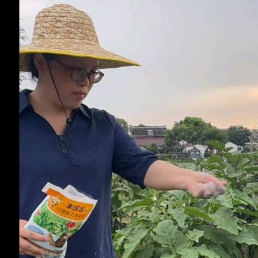 杨姐三农
