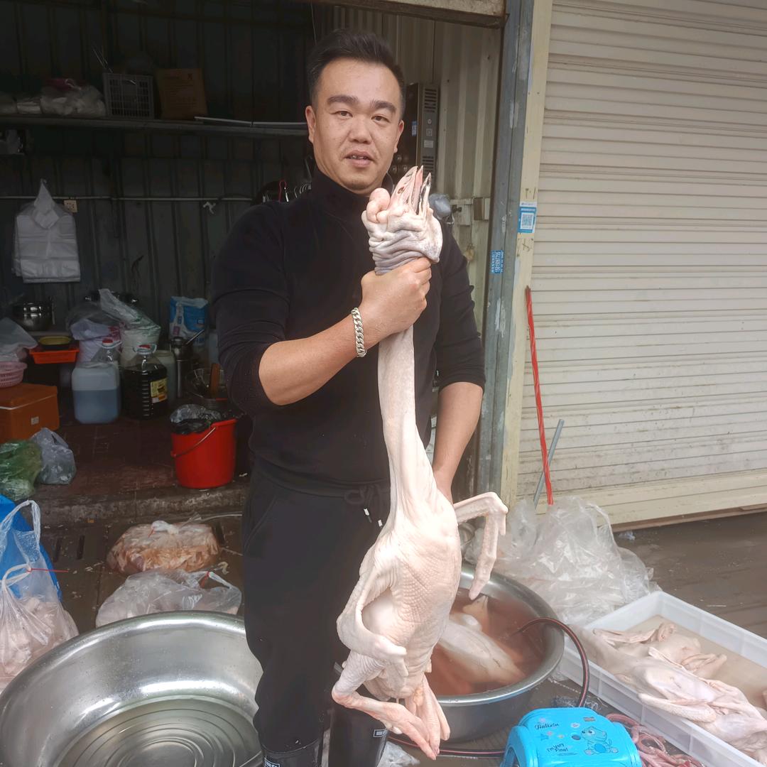 澄海狮头鹅阿欣卤味