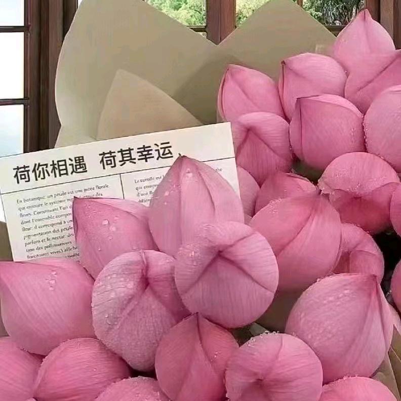 大知闲闲