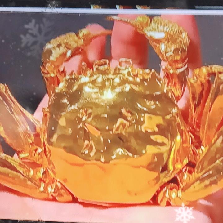 蟹蟹阳阳