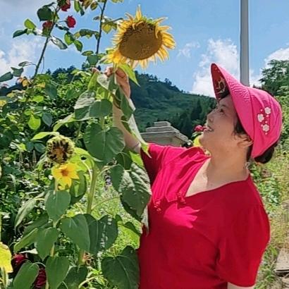 向日葵🌻的微笑😊