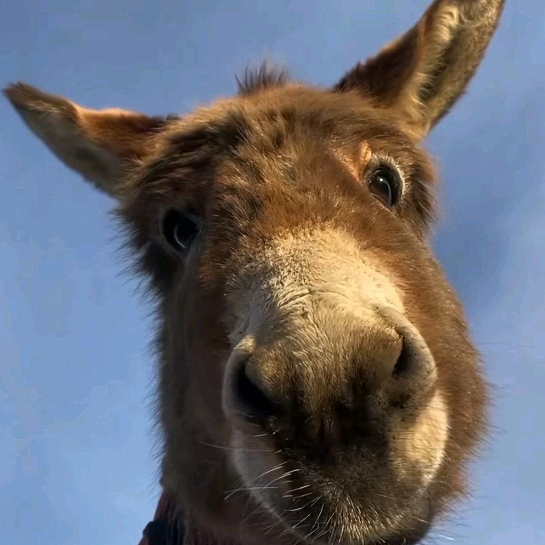 酷溧