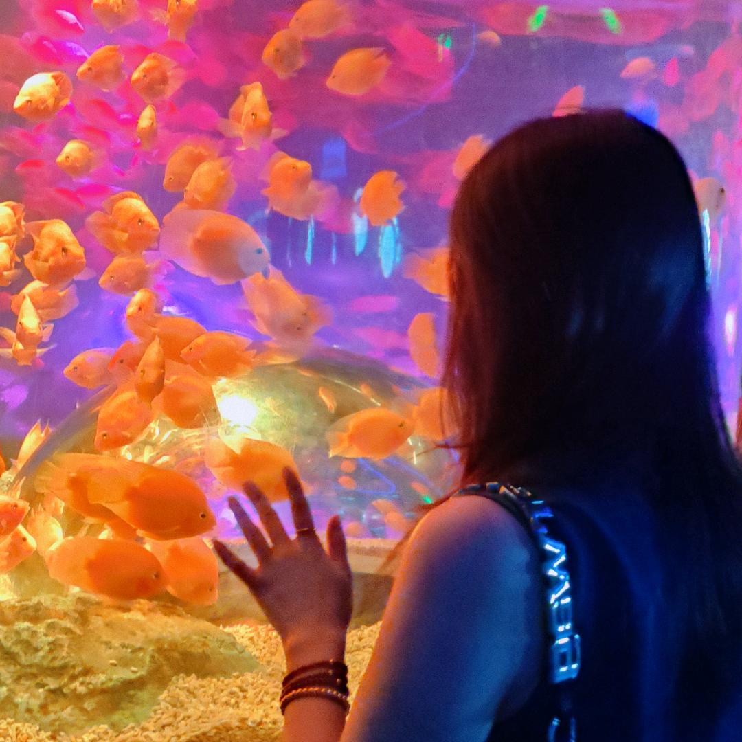 💞࿐: ᭄小幸᭄运