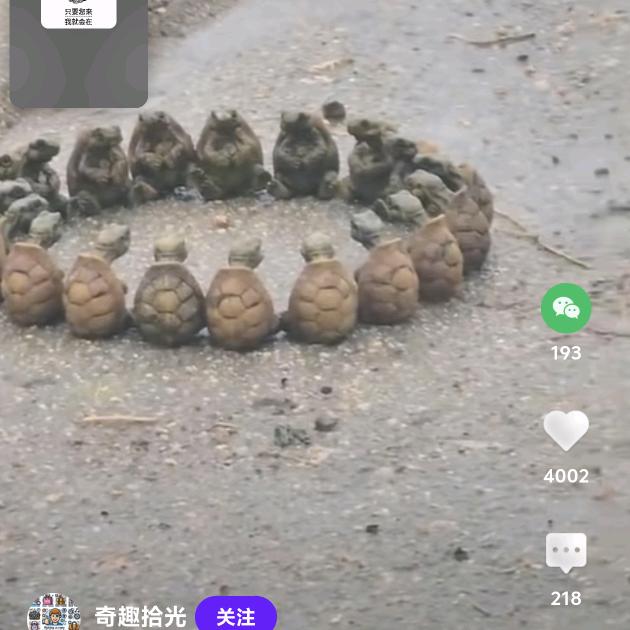 介休电动车上门维修