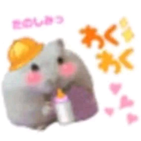 闹哥/夫哥怼华澳