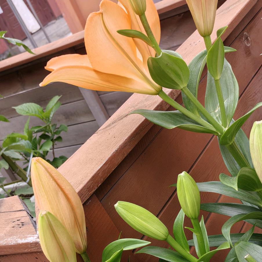 老天爷这个玩笑一点都不好笑