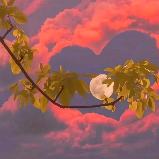 岁月💘💘💘静好