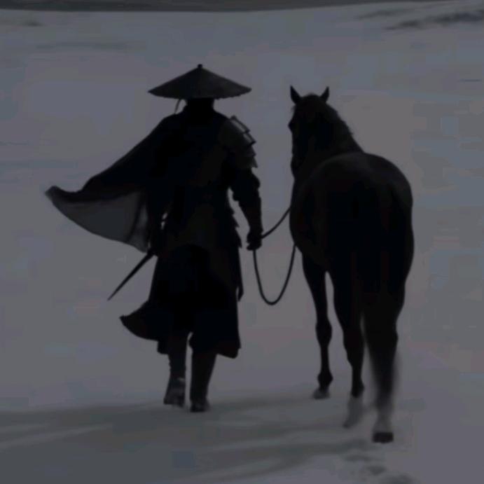 我在人间贩卖孤独