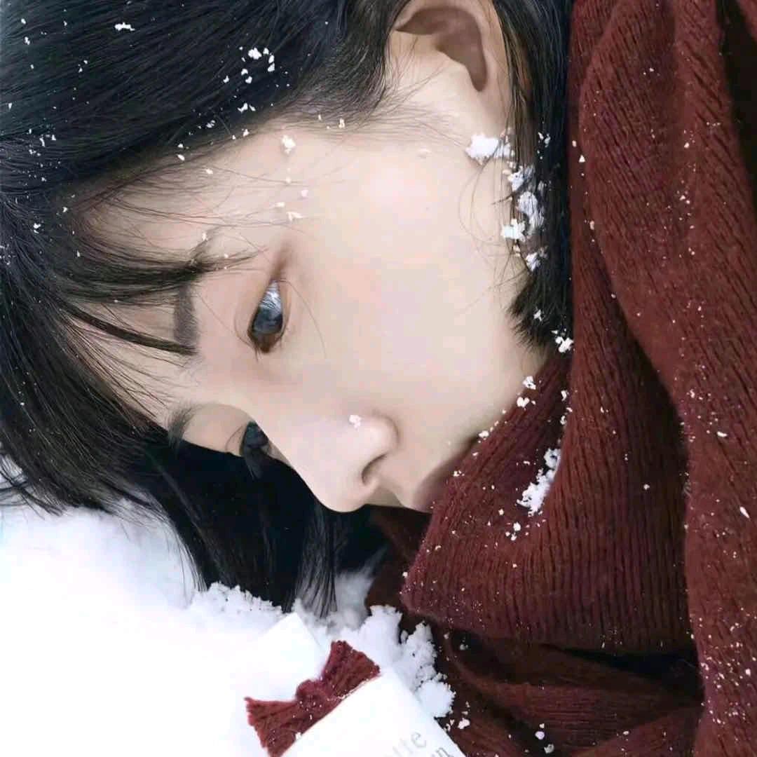冬日❄