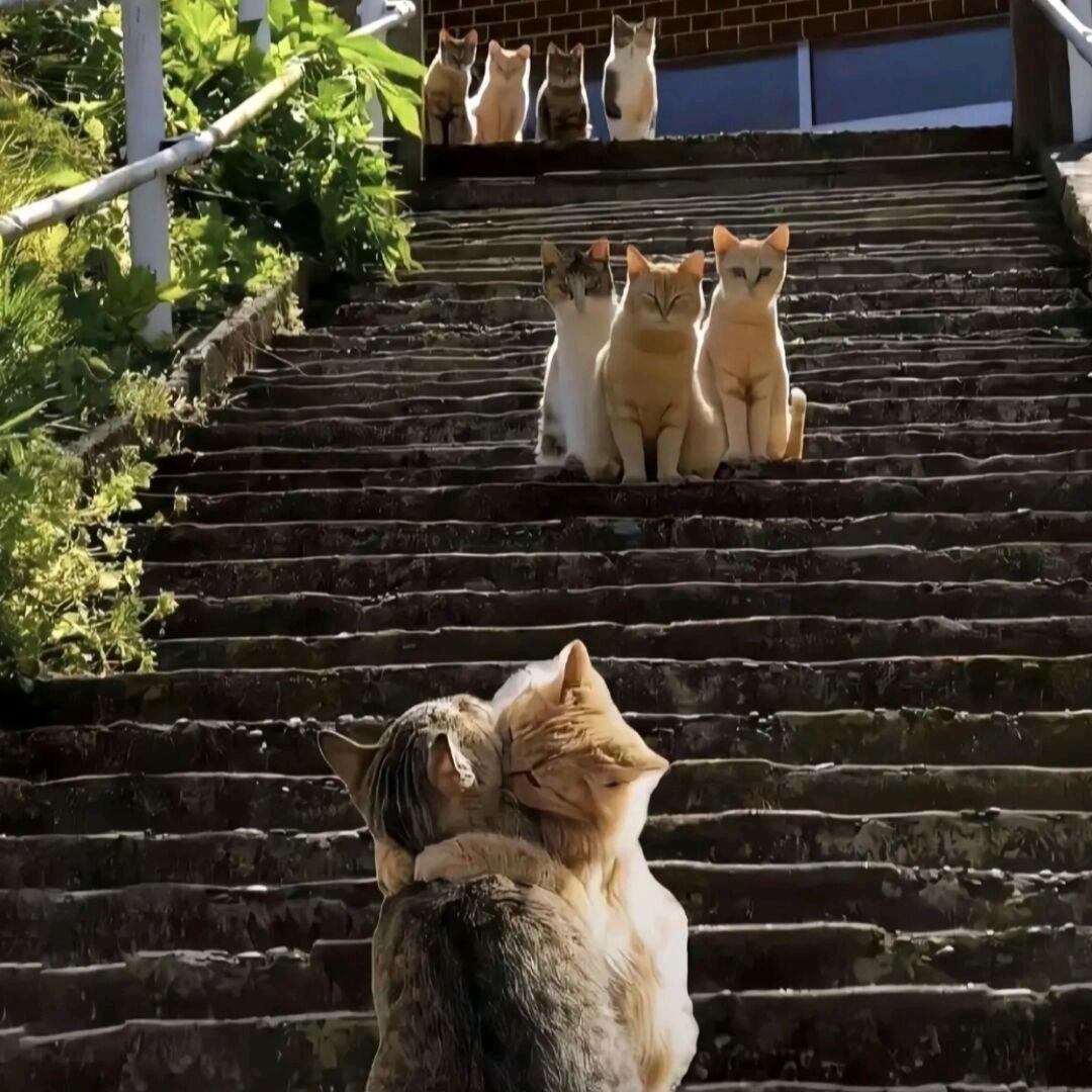 眰    恦