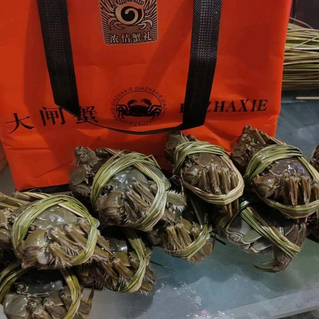 小马河蟹批发零售