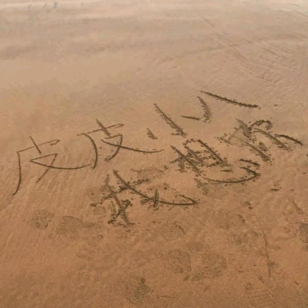 ༂💓皮皮小八（助力发声）