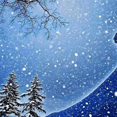 ❄️儒风忘世❄️