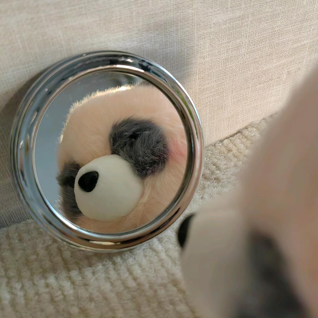 群娃毛绒美美店