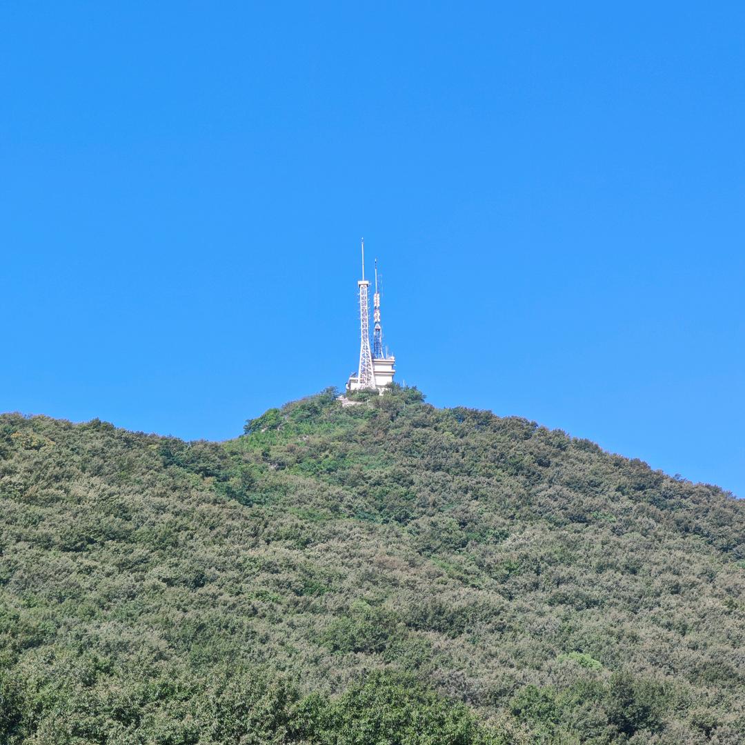 今生桑田