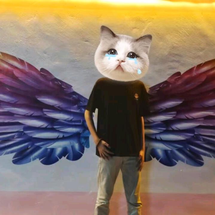 +浩