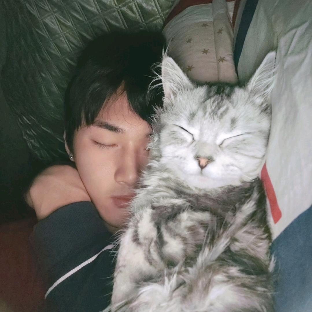 安心