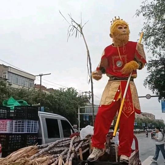 悟空甘蔗流动部