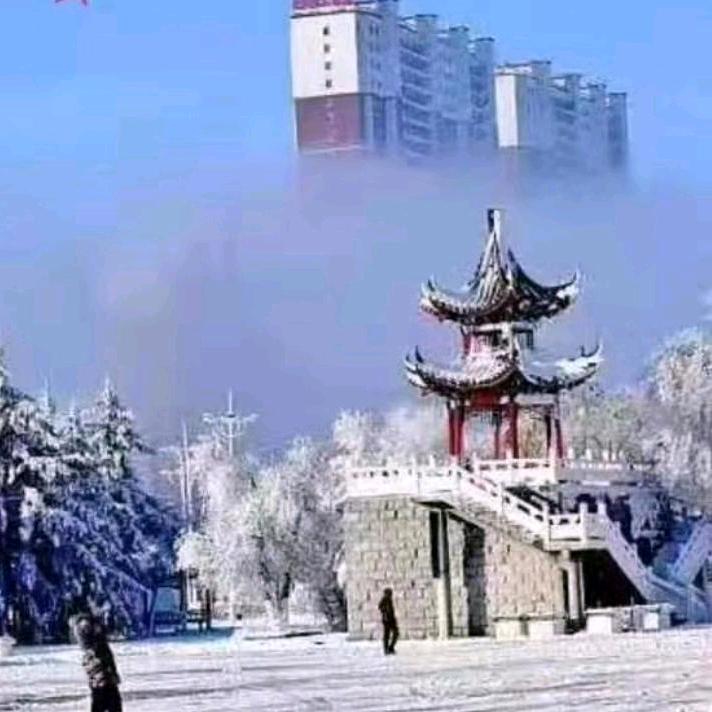 才哥🌲