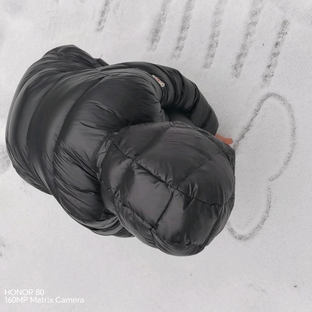 🌻🌻🌻🌻🌻🌻