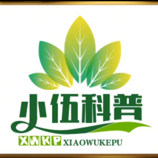 小伍科普