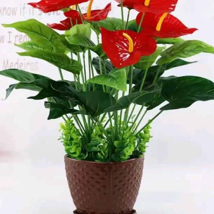 简简单单平平安安