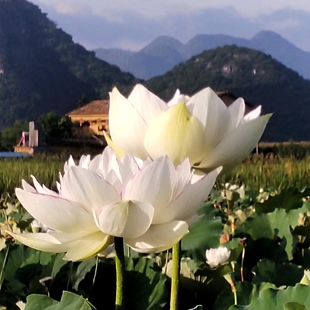 大运河