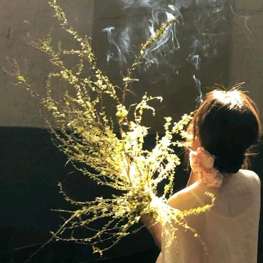 成都纹身柒宝