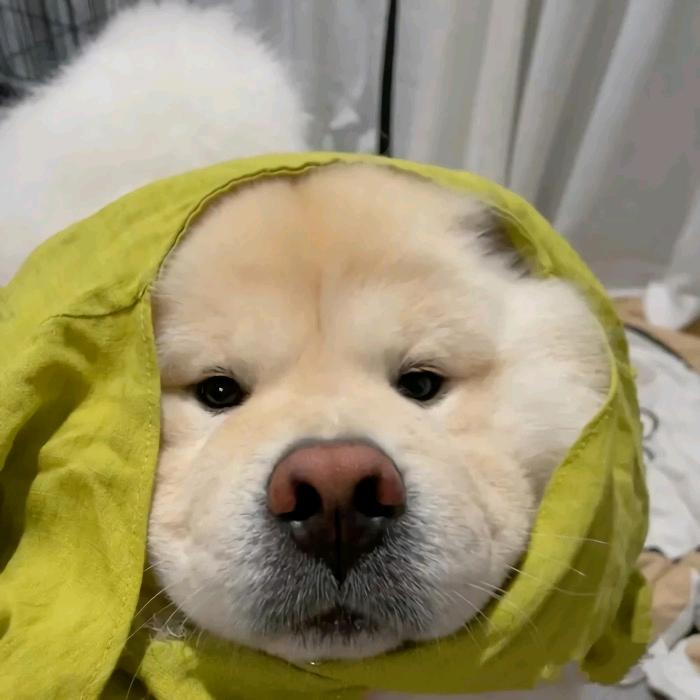 ᵂ