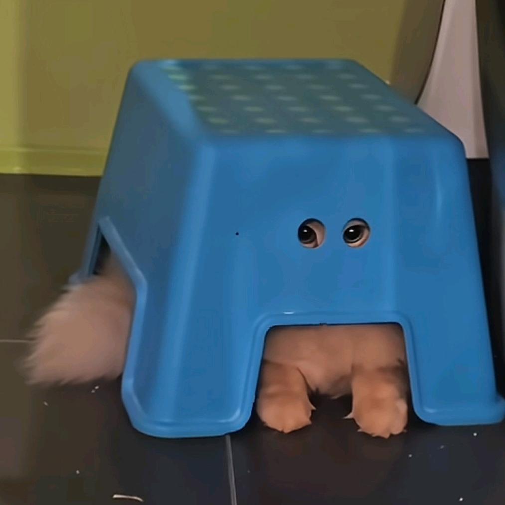 冰淇淋红茶三分甜加茶冻椰果麦晓雯