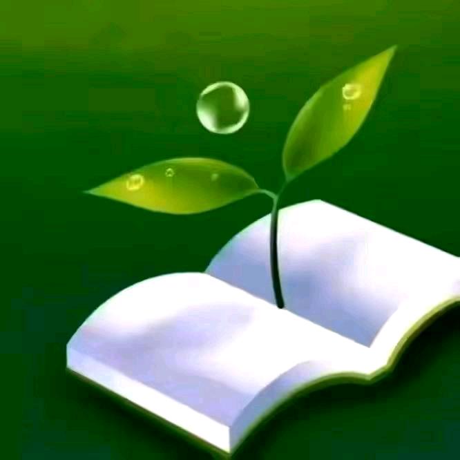 央央，文化传播平台