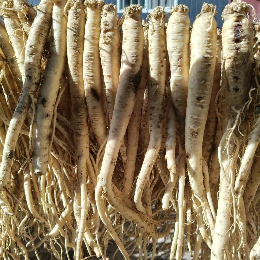 漳县农产优品小铺