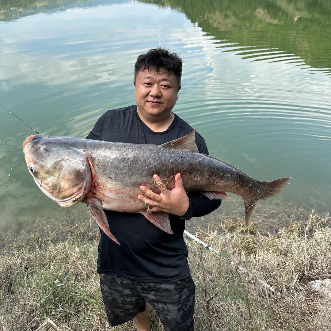 小熊(ai)🎣🐋