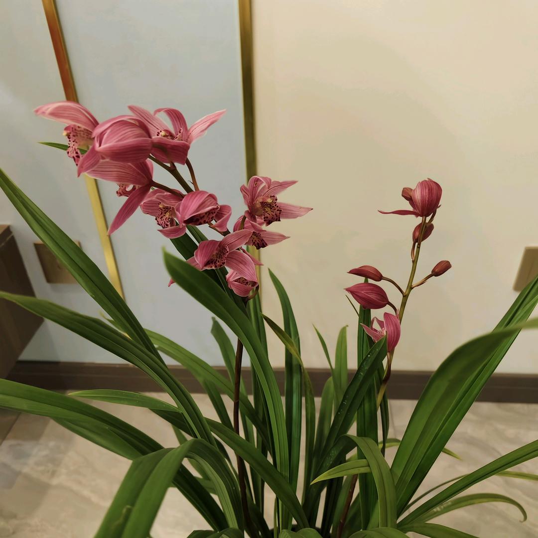 晗宸宝贝
