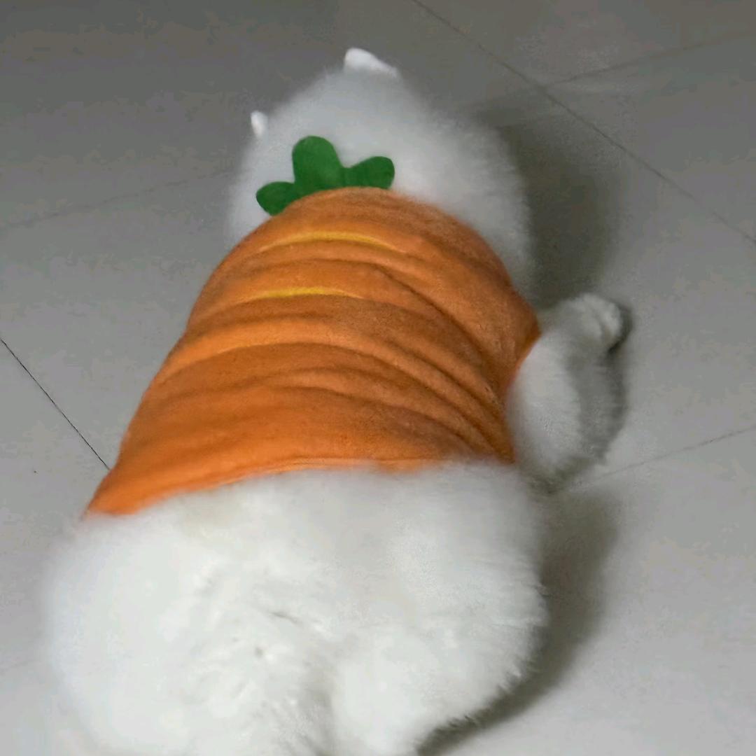 胖士奇大战肥美少耶🌊🦮