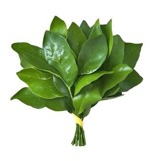 我恨早起π_π☆