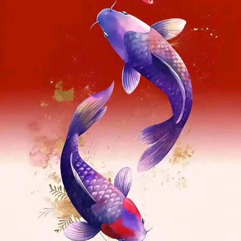 糊涂半生