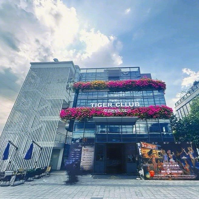 泰戈酒吧  凤岗店