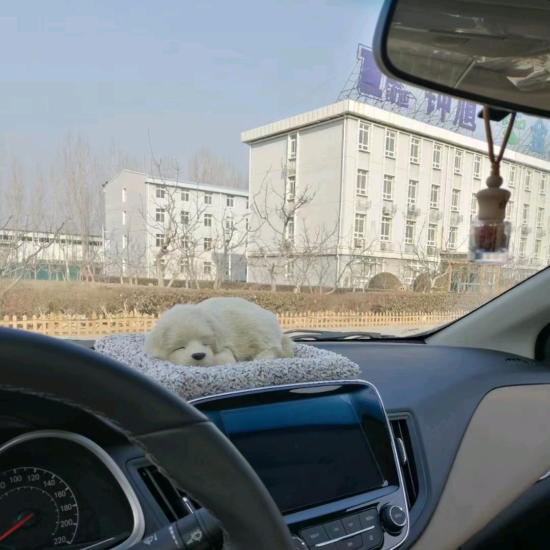 收货的ξ季节Bai