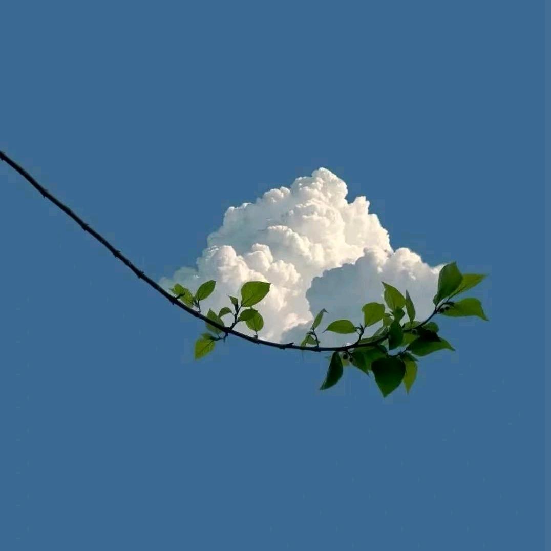 ❥ᥫ᭡好运加满⁺¹⁰⁰