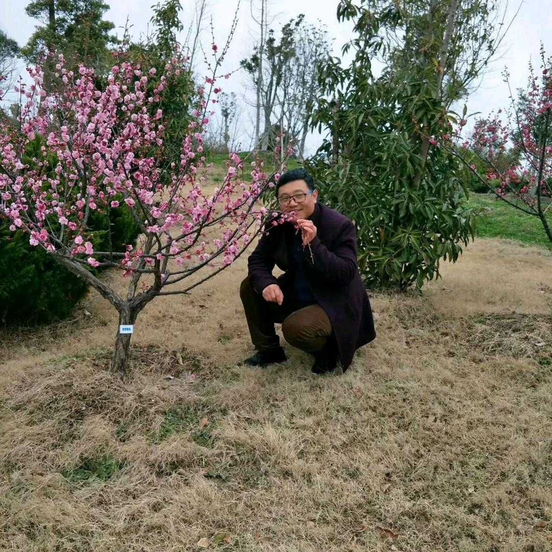 润江园林绿化