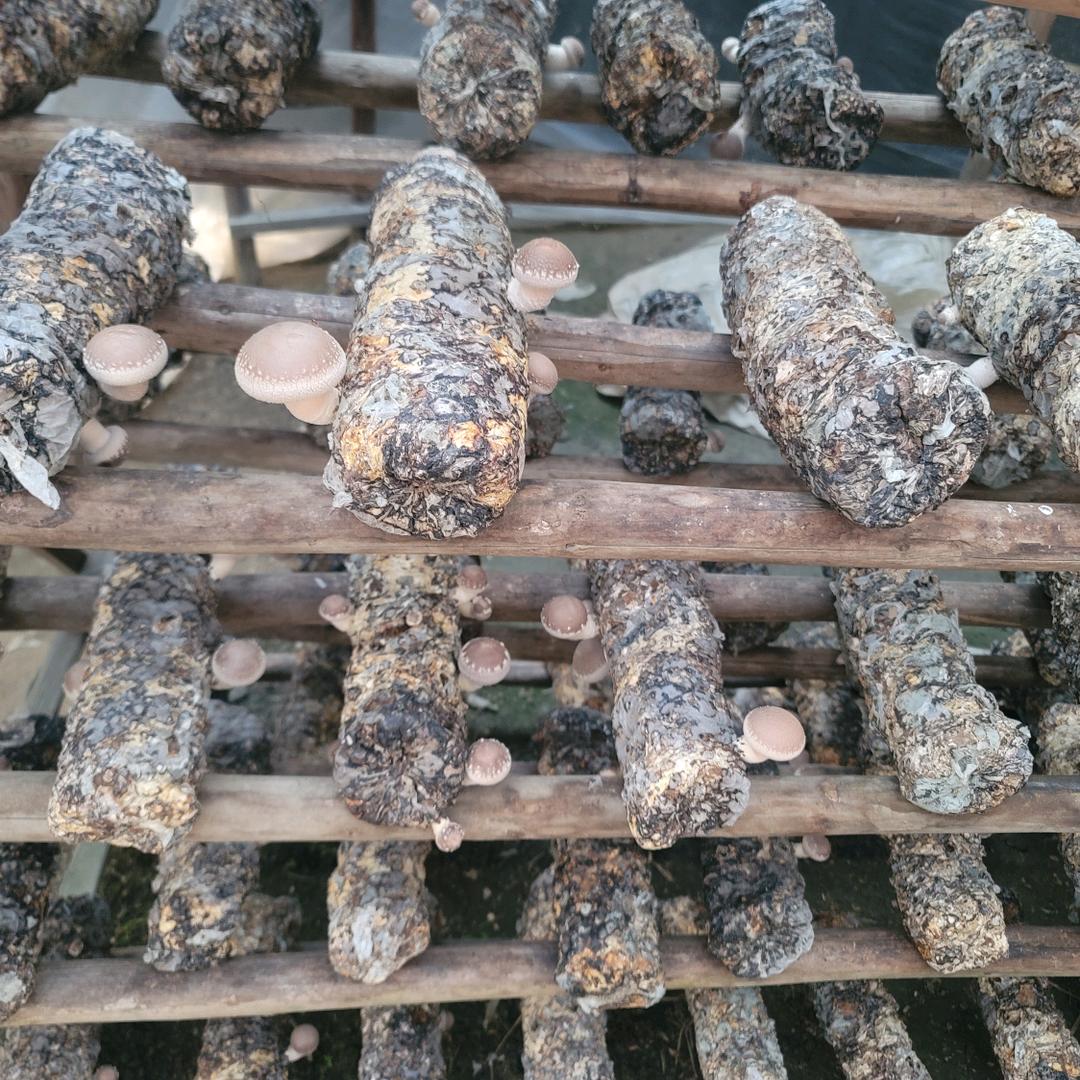 新农仁农副产品