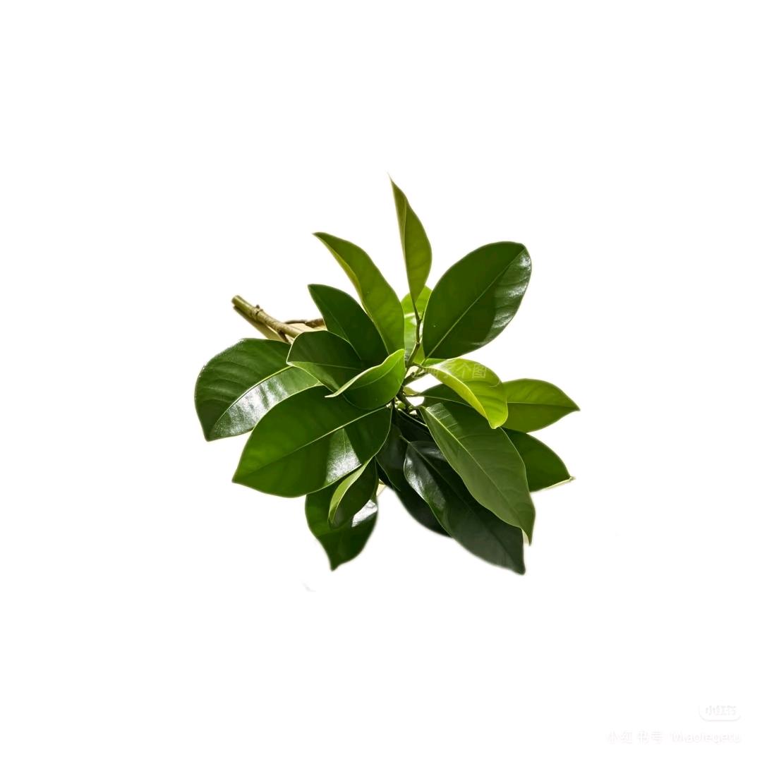 你饿不饿我不饿