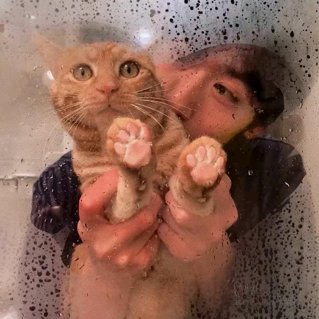 贵  贵