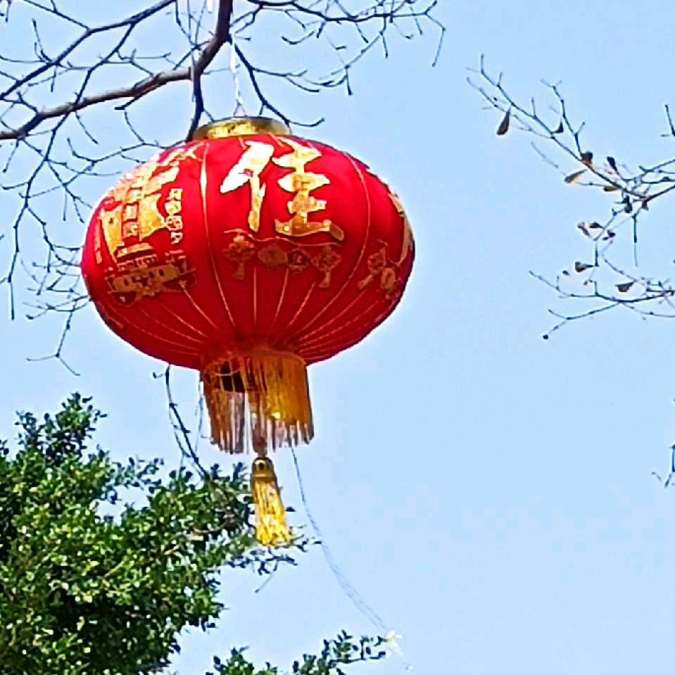 向天再借八百年