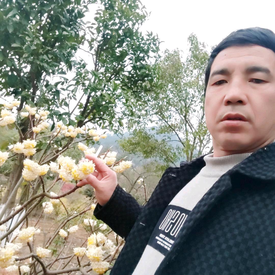 河南专业防水单身哥