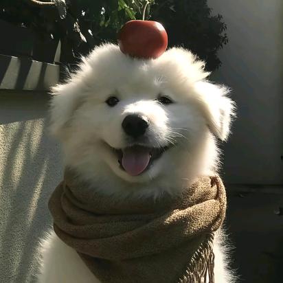 结婚后发现老公和0出轨绝望去点模子点到三