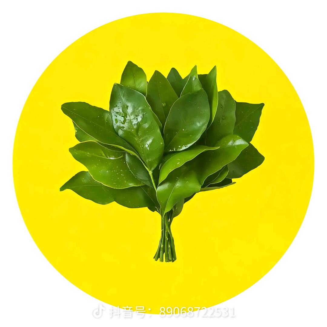 洪运当头
