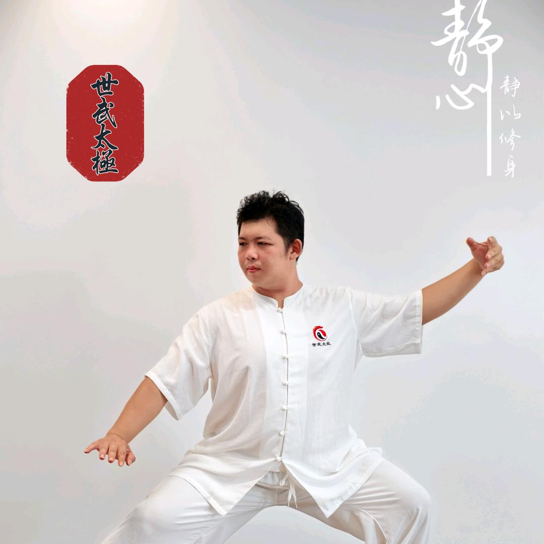 陈世武太极-家传功夫架